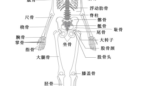 七岁孩子早餐吃什么营养-7岁儿童的营养早餐食谱网 | 七岁孩子早餐吃什么营养,七岁早餐大全